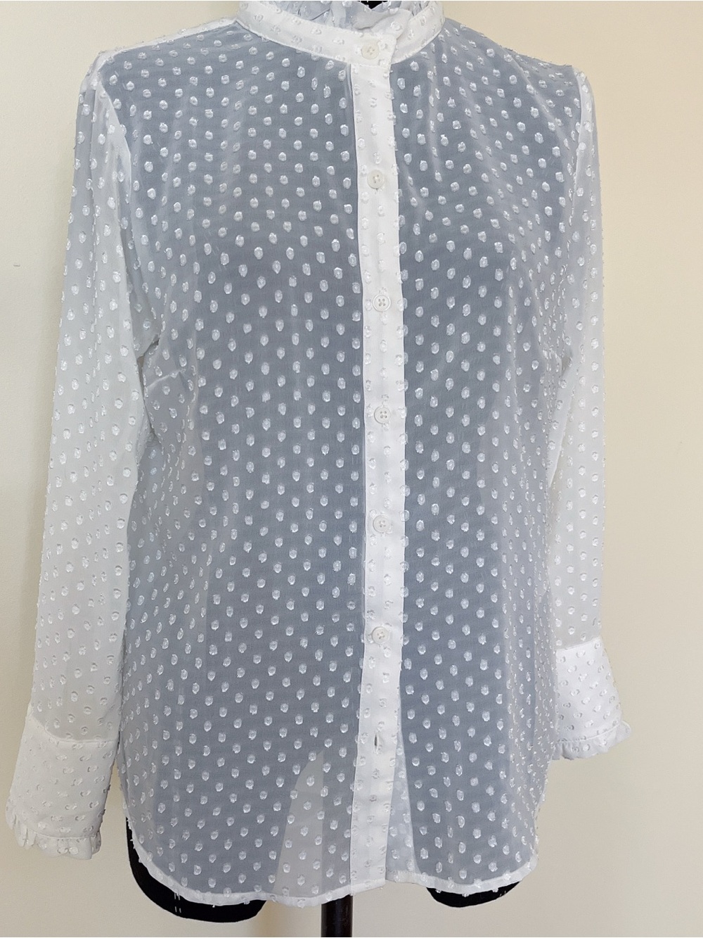 Banana Republic Classic Fit Drapey Textured Sheer Long Sleeve Blouse